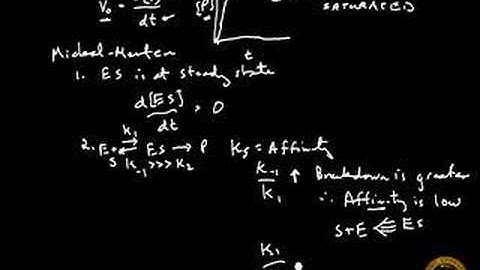 Michaelis Menton Kinetics