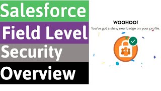 Salesforce Field-Level Security Quick Overview
