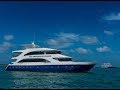 Emperor voyager liveaboard promo  maldives liveaboard diving