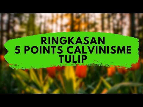 Video: Apa arti dari Calvinisme Tulip?