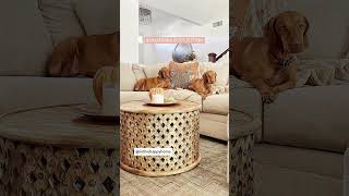 Our Best-Selling Bonaterra Collection - Styled by You | Living Spaces