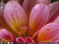 Windows 7 Build 7048 Garden Sounds 