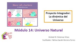 Módulo 14 - Semana 4 - Proyecto integrador - Prepa en Línea SEP 2021