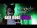 Ako robí líška? (Google translate cover)