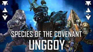 Species of the Covenant-Unggoy