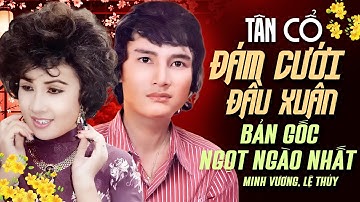 Tân Cổ Đám Cưới Đầu Xuân (Bản Gốc) Minh Vương Lệ Thủy Nghe Ngọt Ngào Hay Nhất