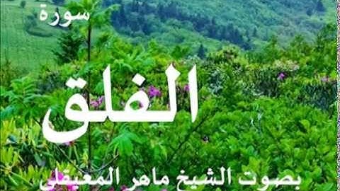 سورة الفلق بصوت الشيخ / ماهر المعيقلي 113