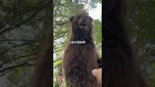 Spot The Fake Animal For 10,000