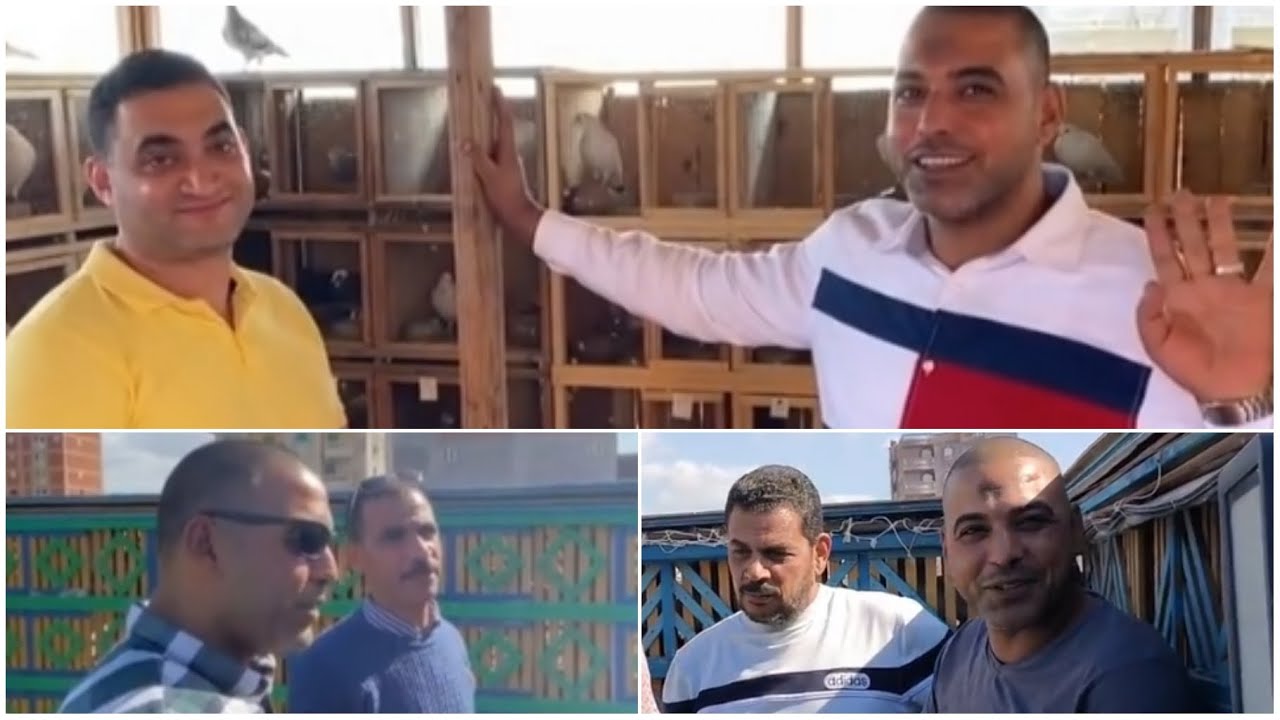 الذكره الذهبيه رجع الذكريات