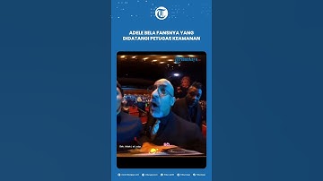 Adele Bela Fansnya yang Didatangi Petugas Keamanan Saat Konser
