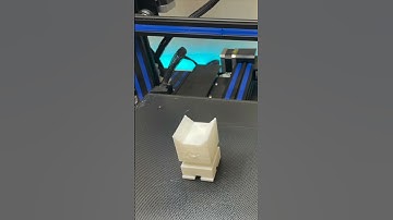 3D printed Cali cat time lapse