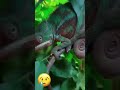 GUAU 😲 Ahora soy un niño grande 💕