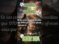 #paz #motivacional #amor #ambientmusic #relaxingmusic #ambientmusic #lifeisbutadream