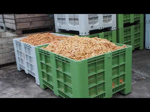 Video: Hur Man Håller äpplen Färska Fram Till Våren
