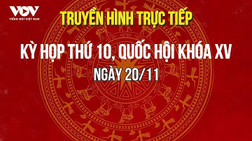 🔴 TRỰC TIẾP: Quốc hội thảo luận một số luật, nghị quyết về giáo dục | VOV