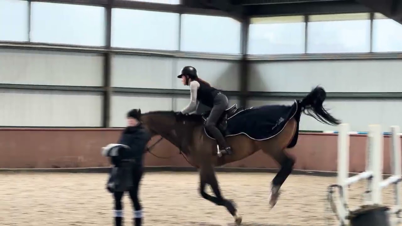 Violet and Whisper- jump school