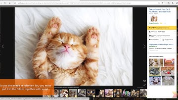 DynoStudio - 4.7 Image form control