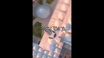 القران الكريم ( سورة الانفال ) 🌻 بصوت الشيخ ماهر المعيقلي 🎀