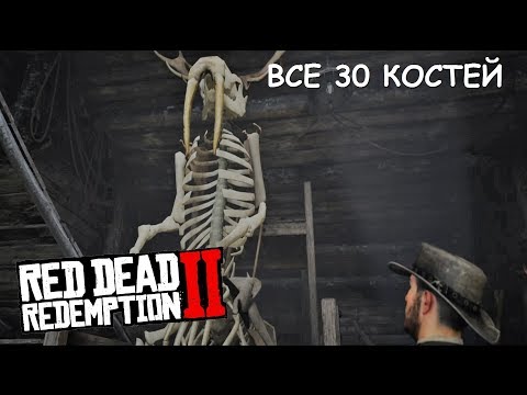 Видео: RDR 2 Все 30 КОСТЕЙ ДИНОЗАВРА