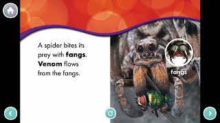 Spiders _ Kids Book Read Aloud _ Story Time with Khan Academy Kids _ Nonfiction books