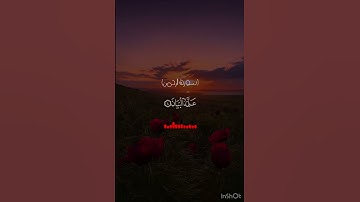 سورة الرحمن 🤍 #المصحف #الرحمن #سورة_الرحمن #ناصر_القطامي
