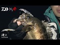 プラグでメバルを釣る!りんたこが解説!