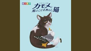 カモメに続け