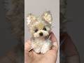 モール1本で作った小さな愛犬ヨークシャーテリア pipe cleaner dog #モール #モールドール #cute #モール人形 #puppy #ミニチュアドールハウス #モールベア