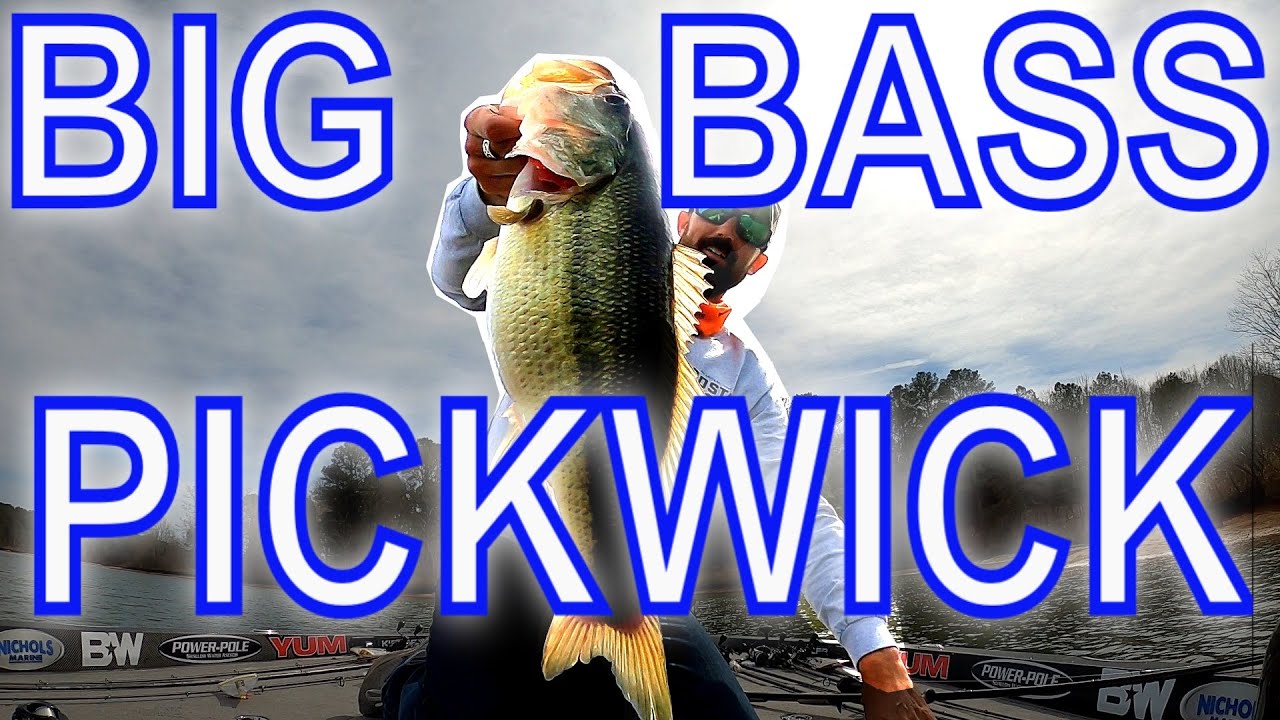 Finding Some Big Bass on Lake Pickwick