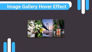 Image Gallery Hover Effect Using HTML CSS