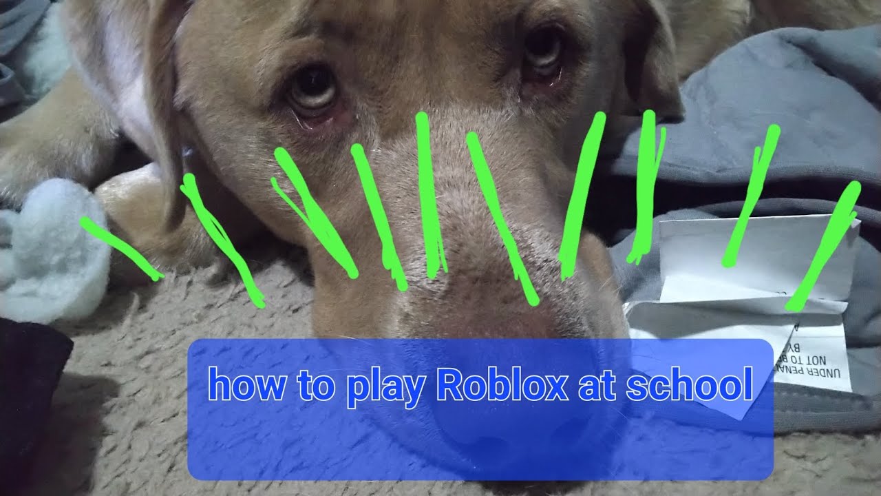 how to play Roblox at school YouTube