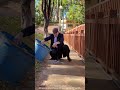 Sharing Love In Hard Times[31][SOSHUONG] #SOSHUONG #GoodDeeds