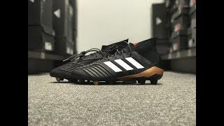 adidas predator 18.1 fg ag skystalker