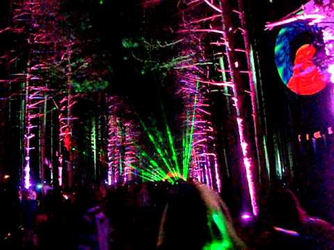 Electric Forest Festival - A Walk Through The Sherwood Forest