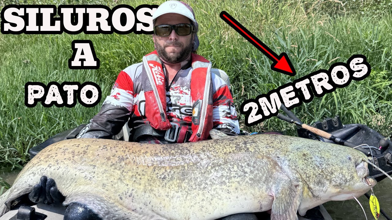 MI PRIMER SILURO desde pato y mi amigo saca un MONSTRUO de 2 METROS😳