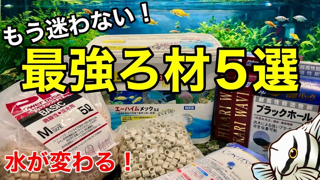 熱帯魚オタクが辿り着いた最強のろ材 5選！これ以外もう要りません【淡水魚 アクアリウム】