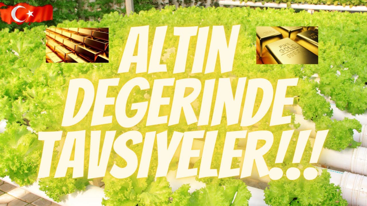 Topraksız Tarım'da 