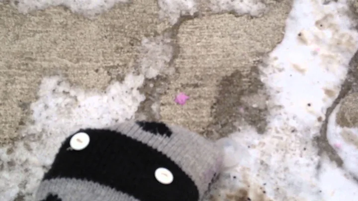 The Polar Vortex Frozen Bubble Trick!