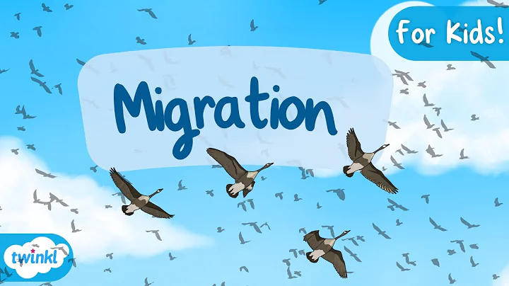 Animal Migration for Kids! | Why Do Animals Migrate? Migration for Kids thumbnail
