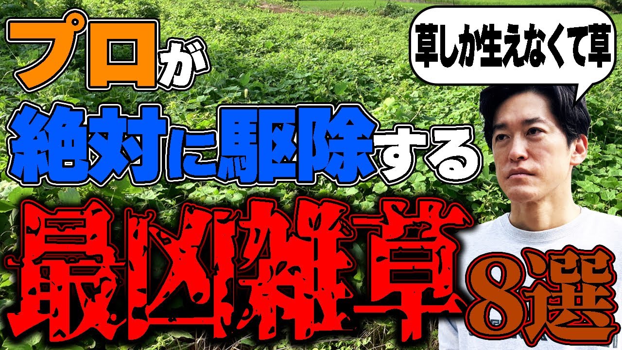 【閲覧注意】庭に生えてたらヤバイ！プロが嫌がる最凶雑草８選