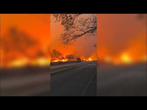 Traslados de presos, alerta por el volcán Puracé e incendios en Tolima: las noticias de Colombia