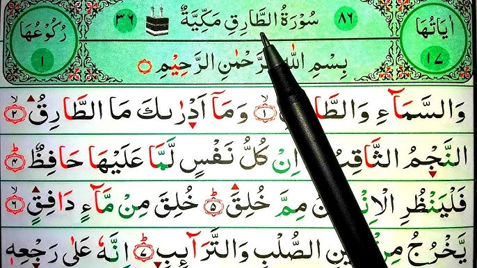 Oq sutyendagi kokrak surati Oq sutyendagi kokrak surati