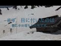 雪の駒ヶ岳千畳敷カール