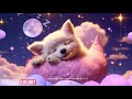 Baby Sleep Music - Lullaby for Babies To Go To Sleep #470 Mozart for Babies Intelligence Stimulation