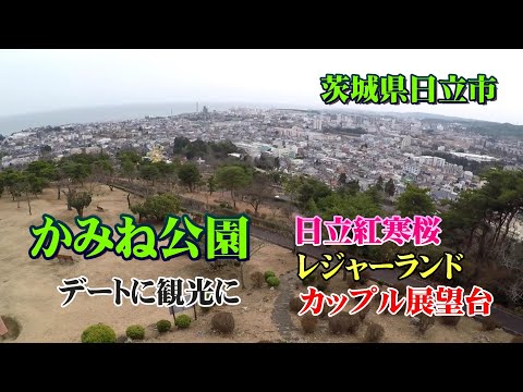 茨城県日立市にあるかみね公園の紹介！デートに家族にもう春を告げる桜やちょっとカップルに耳寄り情報など…