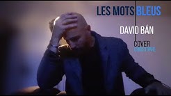 LES MOTS BLEUS - COVER - DAVID BÁN