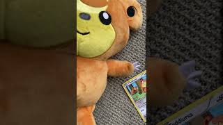 Los Ursas 🐻🌙 #ursaring #teddiursa #ursaluna #pokemontcg