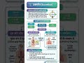 TET Exams Science Notes: मानव उत्सर्जन तंत्र (Kidney) 🧠 #ctet2026 #shortsfeed