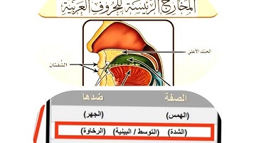 صفات الحروف تجويد صفة الشدة و ضدها الرخاوة و البينية و التوسط الصفات التي لها ضد