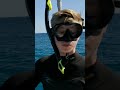 Robert Irwin Tries to Snap a Pic of a Manta Ray! | Crikey! It's the Irwins  | Animal Planet